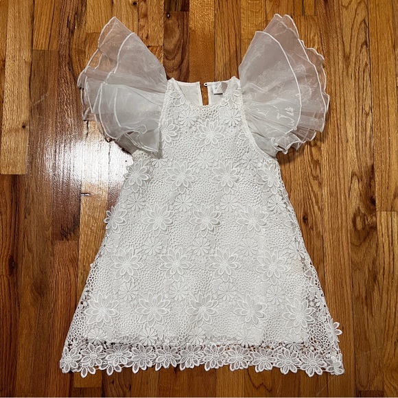 Petite Amalie Lace Dress With Organza Sleeves Girls Size 6